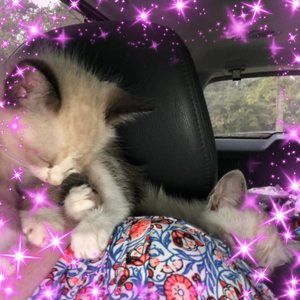 Meet your Posher, Vida